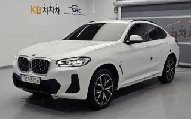 X4 (G02) xDrive 20i M 스포츠